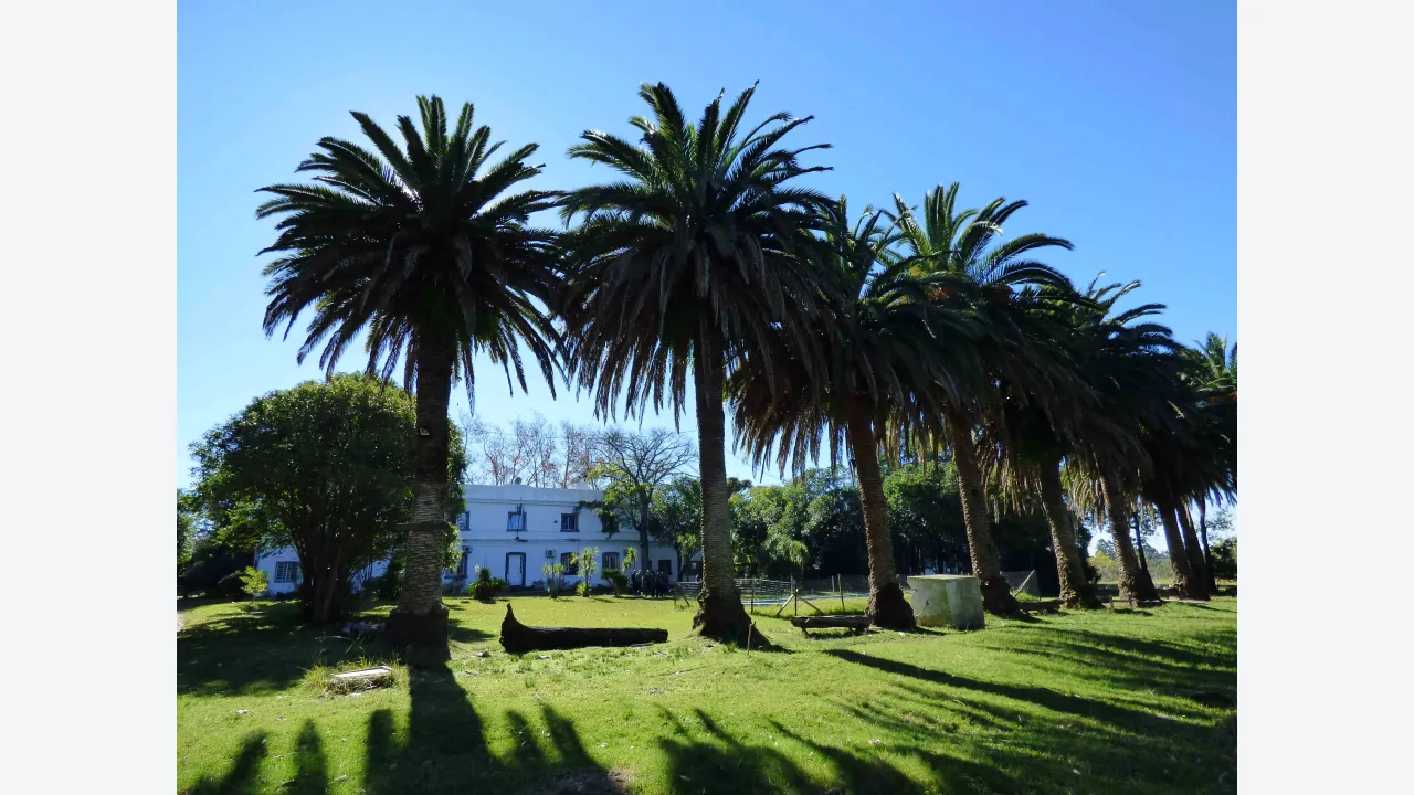 colaboremos-con-el-fondo-becario-20240327124149