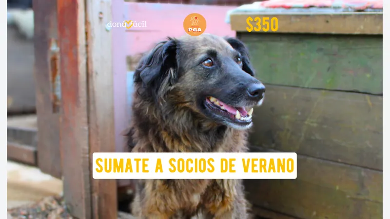 Imagen de ticket: Socios de verano - Refugio PGA -  $350