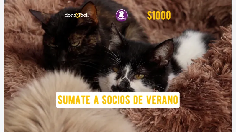 Imagen de ticket: Socios de verano - Bastet - $1000