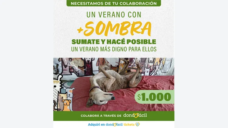 Imagen de ticket: Socios de verano - Cero Callejero - $1000