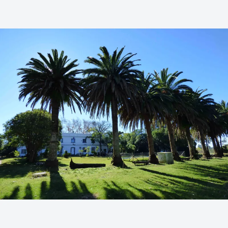 colaboremos-con-el-fondo-becario-20240327124149