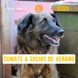 Imagen de ticket: Socios de verano - Refugio PGA -  $350