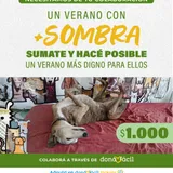 Imagen de ticket: Socios de verano - Cero Callejero - $1000