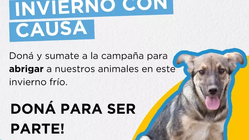 Cómo podés ayudar a los animales en necesidad durante el invierno