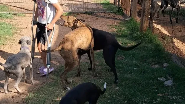 El poder de tu donación: cómo las contribuciones pequeñas pueden hacer una gran diferencia