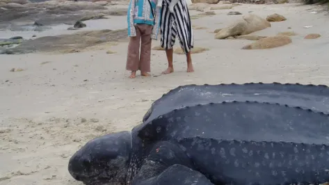 El papel de la educación ambiental en la conservación de especies