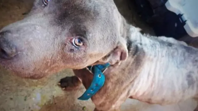 El poder de la solidaridad: cómo cada pequeña contribución cuenta.