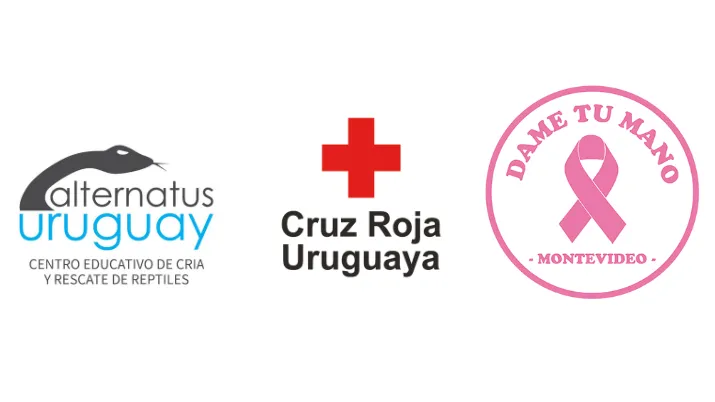 Alternatus, Cruz Roja y Dame Tu Mano sumaron un año más de solidaridad e impacto social